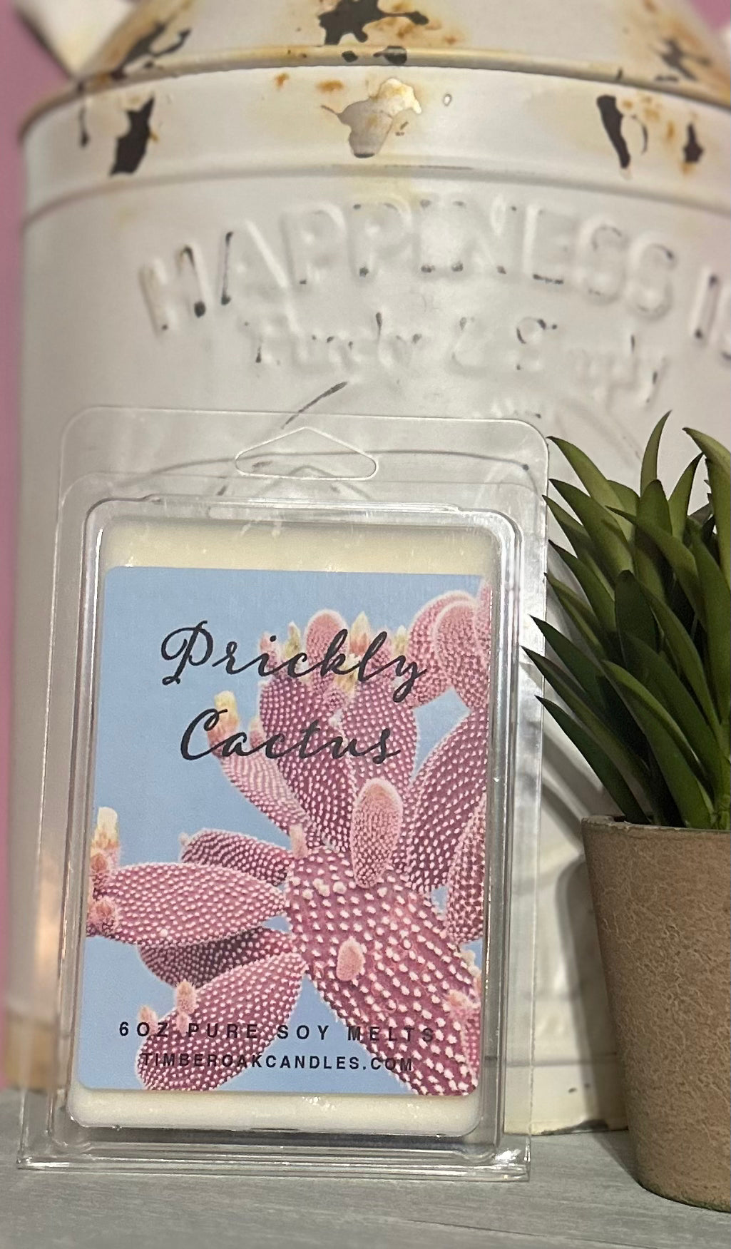 Prickly Cactus