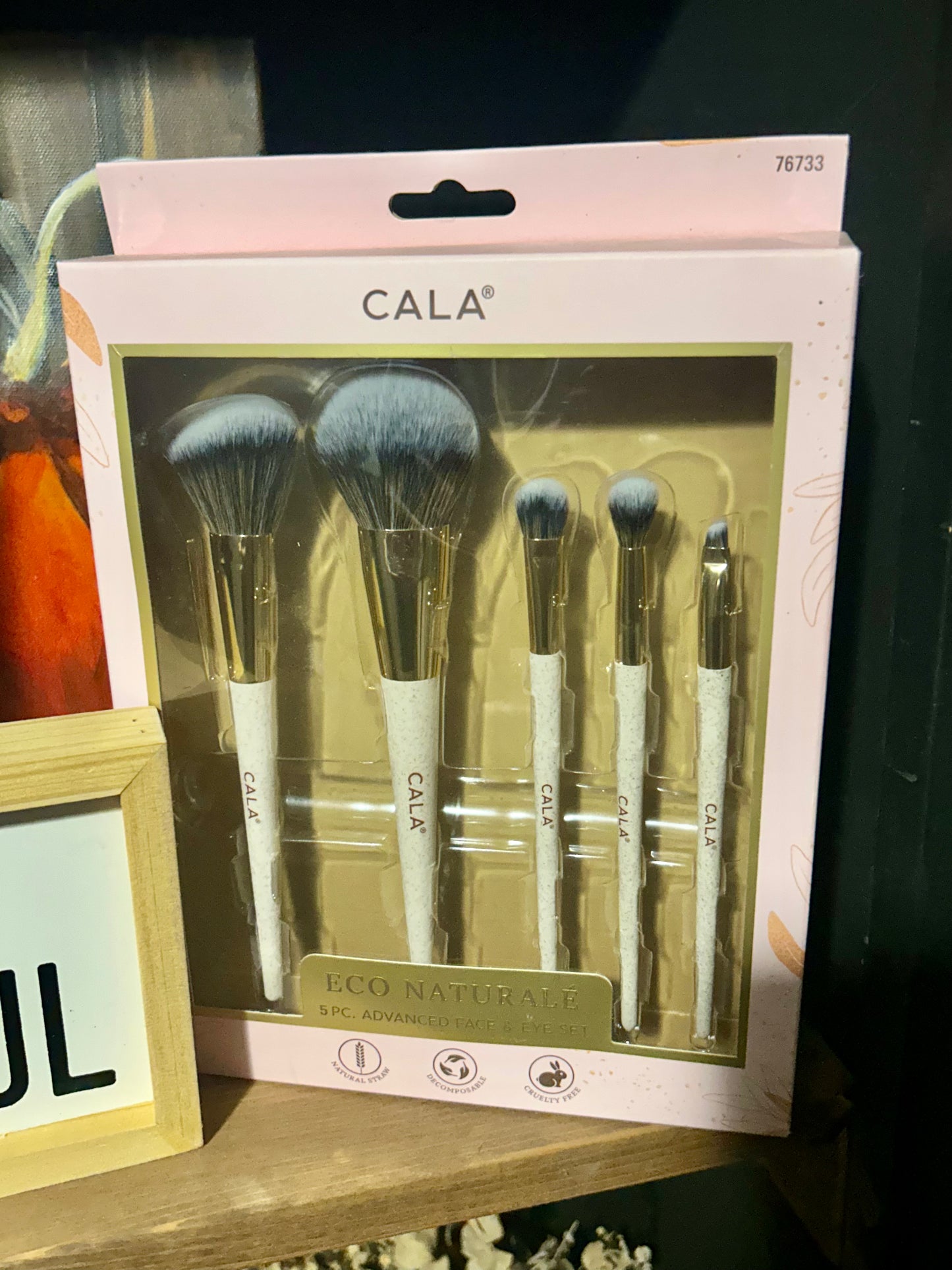 5pc Eco Brush Set