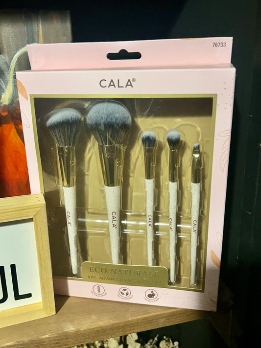 5pc Eco Brush Set